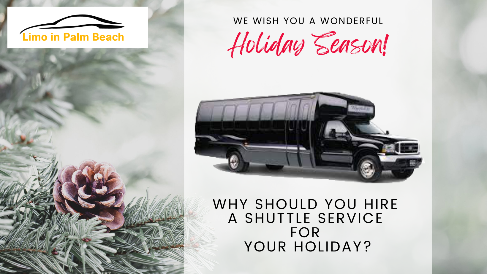 Why Should You Hire a Shuttle Service for Your Holiday?
