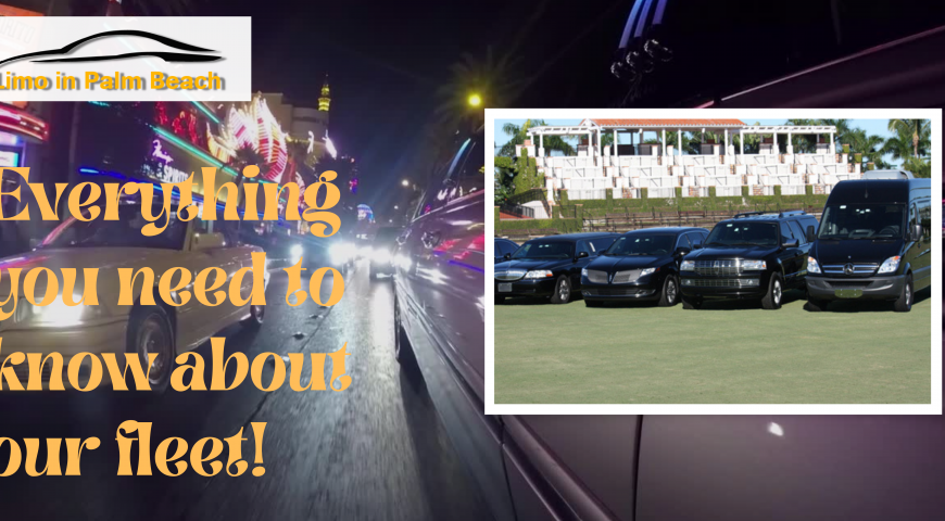 Everything you need to know about our fleet!