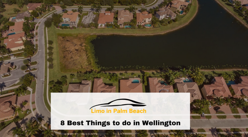 8 Best Things to do in Wellington